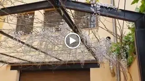 Casa Lucia Requena
