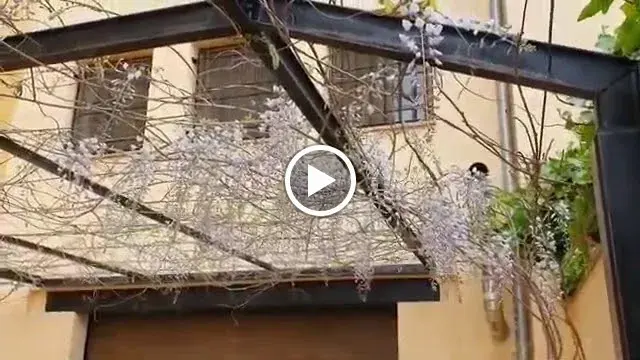 Casa Lucia Requena
