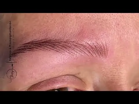 Cejas hiperrealistas, técnica Machine HairStrokes (trazos con máquina)