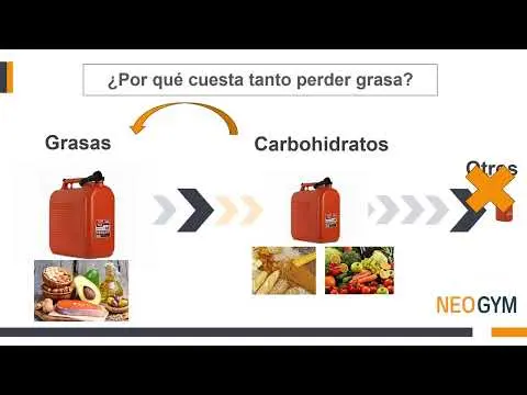 WEBINAR Entrenamiento eficaz para perdida de grasa