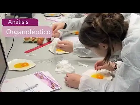 Labdial celebra el Día de la Niña y la Ciencia