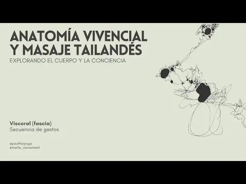 Anatomía Vivencial & Masaje Tailandés - Visceral (fascia) - Secuencias de gestos