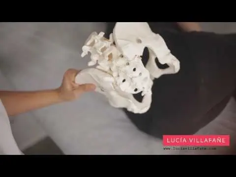 ¿Cómo tengo que sentarme?