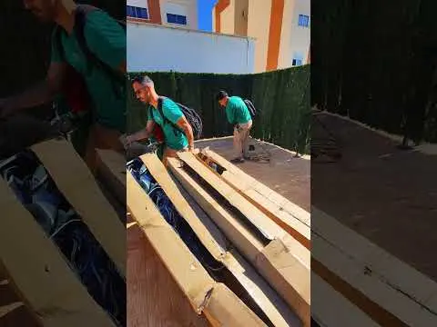 colocacion de seto de ocultación