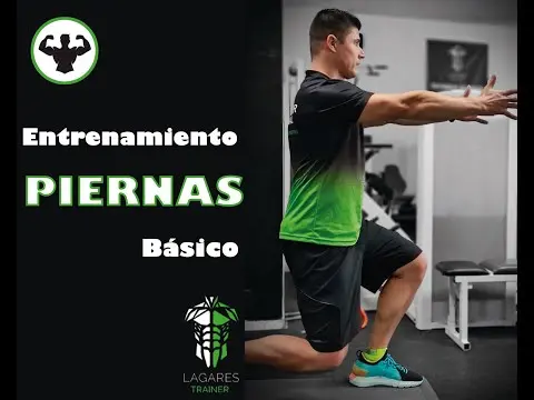 Explicación y circuito básico de piernas