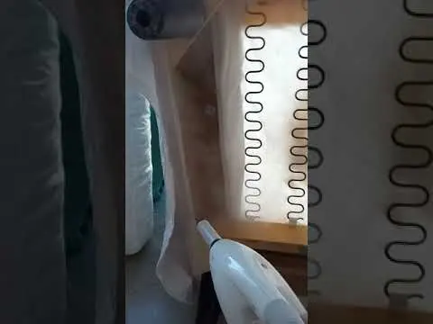 Tratamiento contra chinches con Vapor Seco