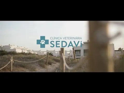Vídeo de Clinica Veterinaria Sedavi