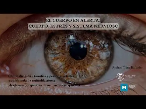Webinar "Cuerpo, estrés y sistema nervioso" Asociación Española Retinoblastoma Andrea Tena 25/4/2026