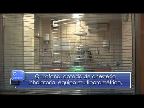 Vídeo de Veterinary Clinic Los Cantos