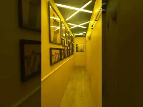 Asi quedó este super proyecto de interiorismo🔥Dog & Roll. El perro más H🔥t de Canarias 😎