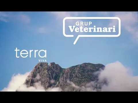 Germán Cervera en Terra Viva un espacio de à punt TV
