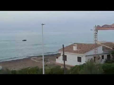 Varios delfines nadan en la bahía de Xàbia
