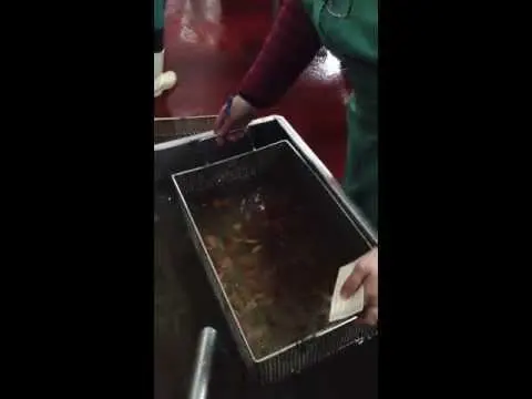 Limpieza del caviar de erizo para eliminar púas