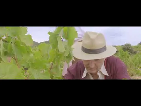 Esto es Bodegas Care