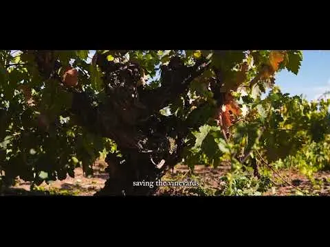 Carroa | New Release from Bodegas Protos. Legacy of Ribera del Duero EN