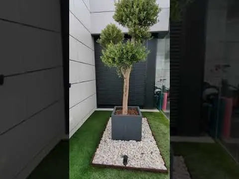 Reforma integral de un ático (exterior)