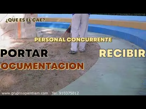 CAE (Coordinación de Actividades Empresariales)