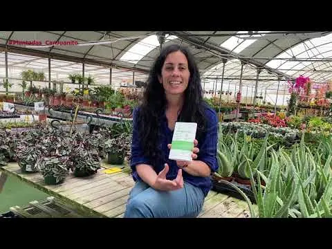 Alternativas al uso de herbicidas