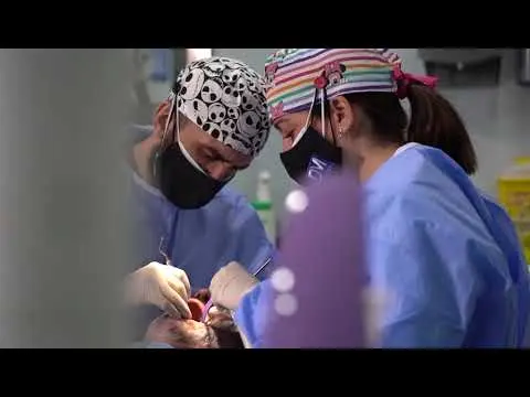 DM Dental Granada 2022