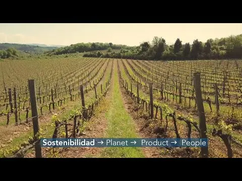 Sostenibilidad