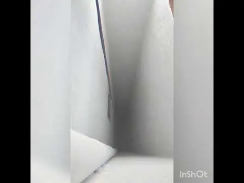 Pintado de patinejo.