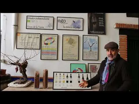 Nuestra historia y nuestro trabajo - Origin Story de La Bodega de las Estrellas