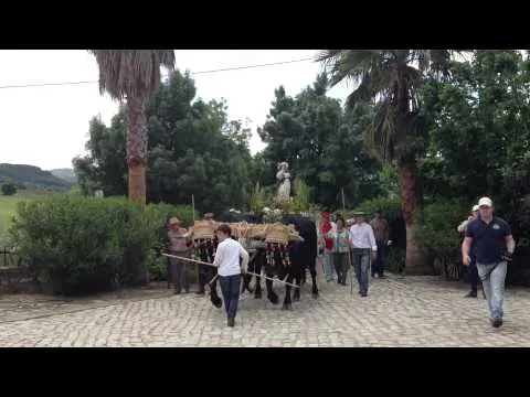Entrega Floral. Hotel Cortijo Salinas. Romería Montecorto 2013