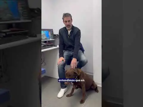 Especialistas en oncología veterinaria