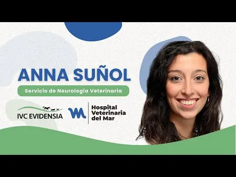 Veterinarios Barcelona | Hospital Veterinario del Mar