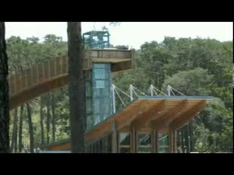 9.ENTORNO NATURAL.avi