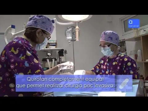 Centre Veterinari del Barri Llatí