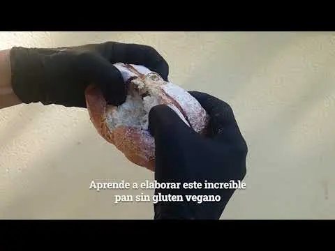 Pan sin gluten y vegano con trigo sarraceno | Sana Locura 2024