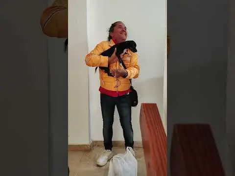 20 de abril de 2025