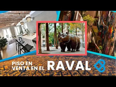 NUEVO PISO REFORMADO Y A LA VENTA! 🤩 BARCELONA - RAVAL