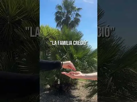 Te acompañamos en cada etapa🏡 ¿Cuando empezamos?