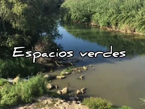 ¿Por qué vivir en Alzira?