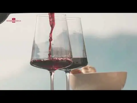 BODEGAS NODUS  2025