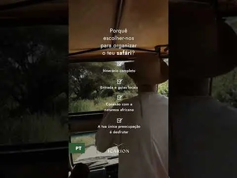 Um safári é uma experiência irrepetível.