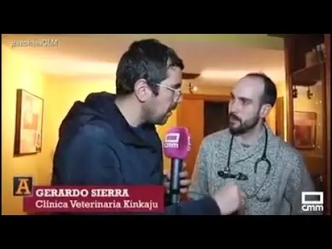 Procesionaria del pino, ¿Cómo actuar?