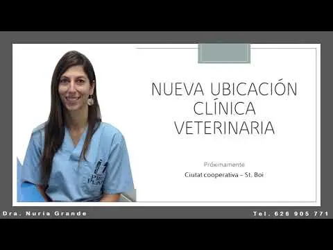 Próxima apertura Clínica Veterinaria VetXperience en St.Boi, Dra. Nuria Grande  telef: 626 90 57 71