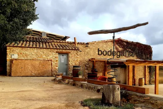 BODEGA VICENTE FLORS, S.L.