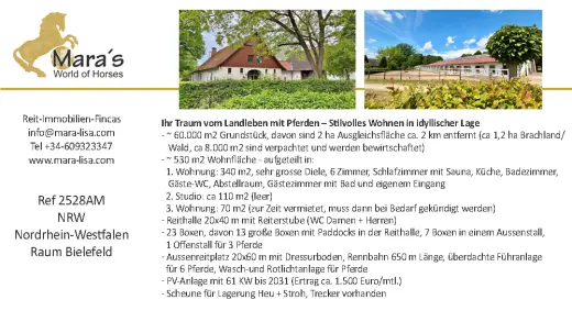 Maras World Solutions S.L