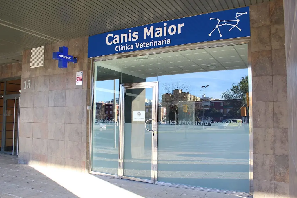Clinica veterinaria Canis Maior