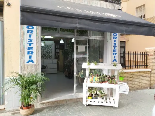 Cesarflor Floristeria