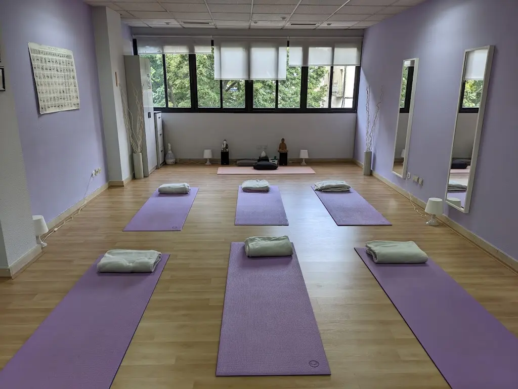 Bhasma. Escuela de yoga