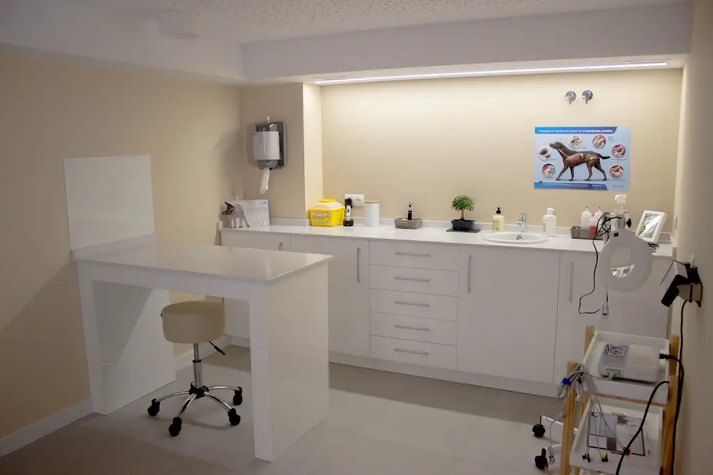 Clinica Veterinaria Salvora