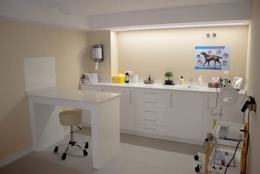 Clinica Veterinaria Salvora