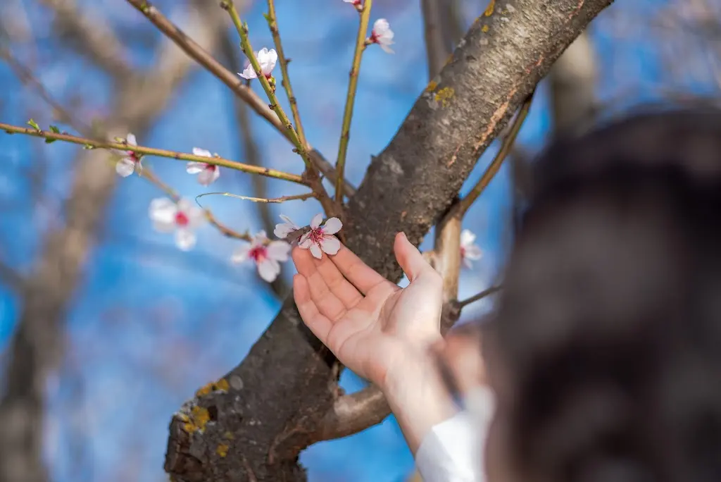 Sakura Psicologia - Esther Gutierrez Marin