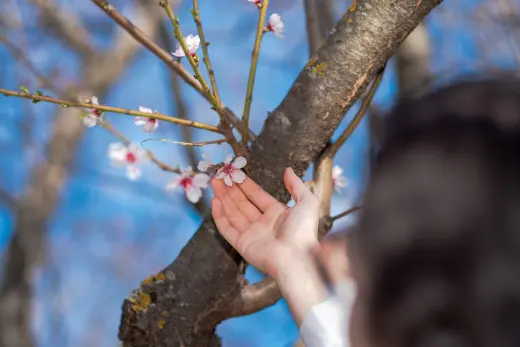 Sakura Psicologia - Esther Gutierrez Marin