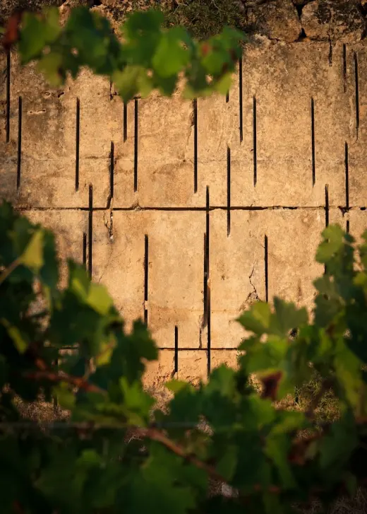 DALT TURO - wine tasting room - wine cellar